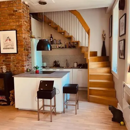 Spacious, Modern In Part Of Town * Oslo