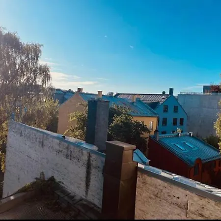 Spacious, Modern In Part Of Town Oslo